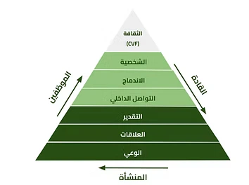 7 محاور لصحة بيئة العمل التنظيمية
