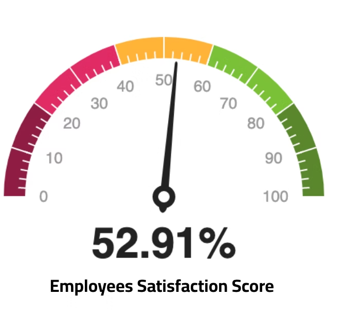 Employees satisfaction (2)