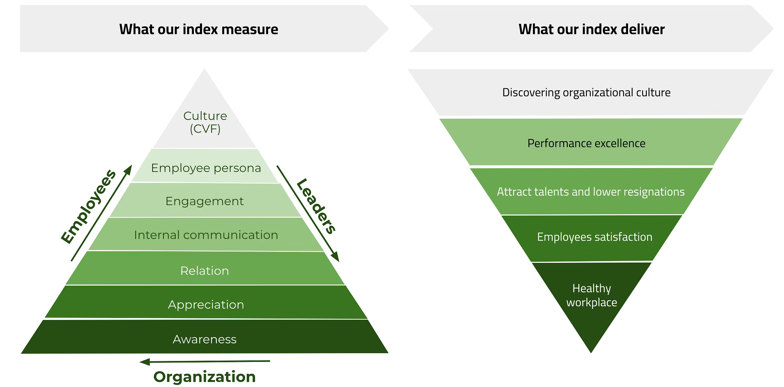 OHBI Outcomes